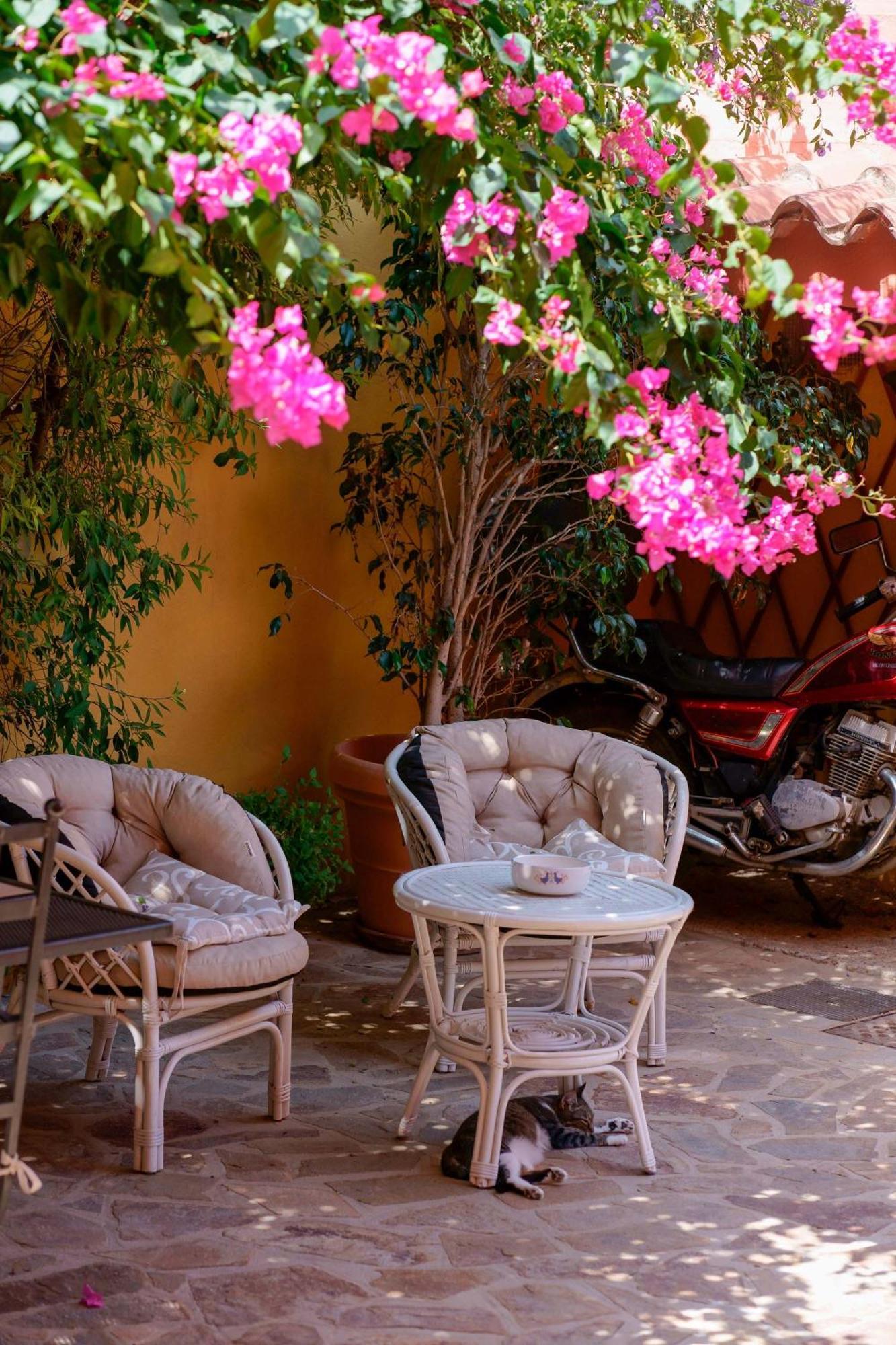 B&B Il Piccolo Giardino Villasimius Esterno foto