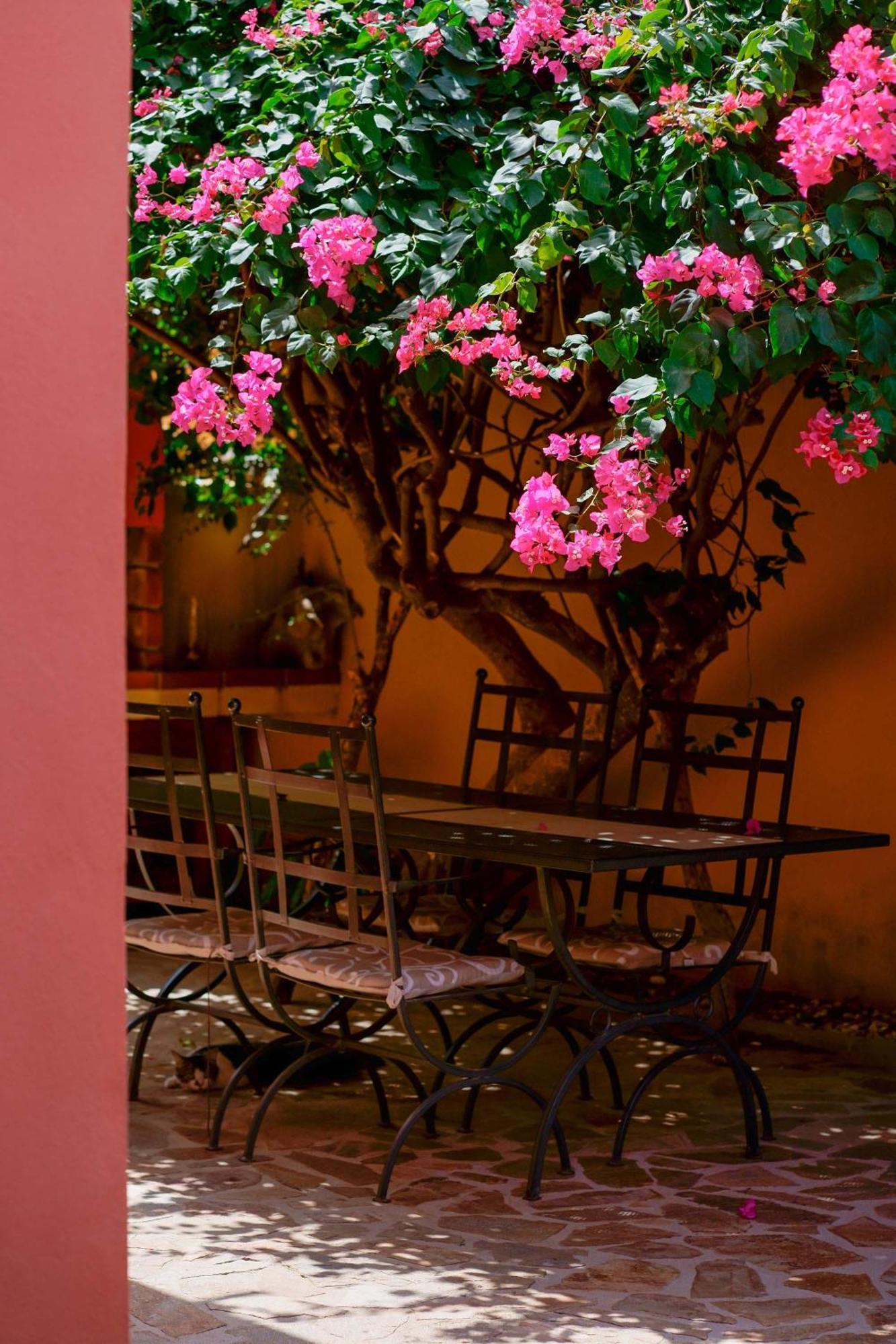 B&B Il Piccolo Giardino Villasimius Esterno foto
